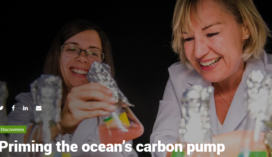 “Priming the ocean’s carbon pump”